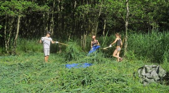 Ochránci přírody a dobrovolníci z obce Buda posekali slatinnou louku. Foto: ČSOP Klenice