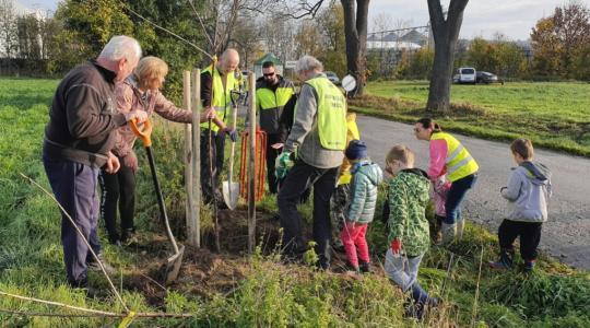 ČSOP Klenice vysadil neuvěřitelných 439 stromů. Sbírá tipy na další výsadby. Foto: ČSOP