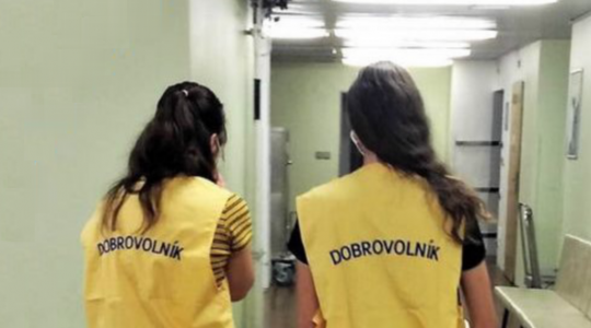 Máte zájem o dobrovolnictví ve zdravotní a sociální oblasti? Nejbližší školení bude 8. října. Foto: Klaudiánova nemocnice