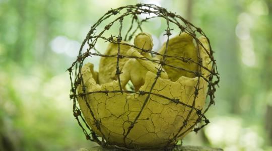 Mezinárodní festival přírodního umění v Ralsku zaujme rodiny s dětmi i pamětníky 