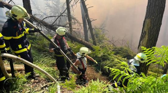 Požár v národním parku České Švýcarsko. Foto: HZS ČR