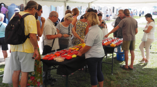 Letos se již konala mimo jiné přehlídka odrůd zelenin na naší šlechtitelské stanici v Lednici. Foto: MoravoSeed