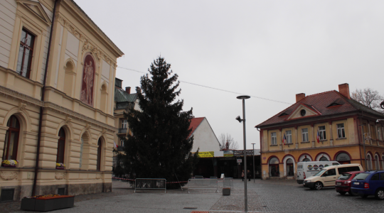 Vánoční strom v Hradišti již je na svém místě. Foto: Petr Novák, 19. listopadu 2021