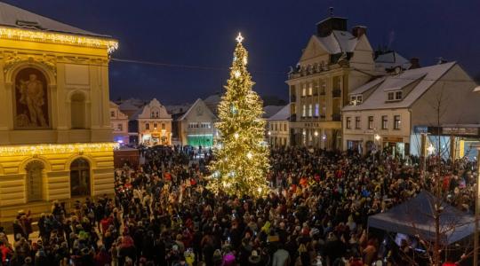 Mnichovo Hradiště má třetí nejkrásnější vánoční strom ve Středočeském kraji! Foto: město