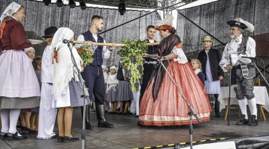 Menší vinobraní lákají na mistrovství ve sběru hroznů, burčákový trojboj i krojované průvody. Zdroj: Retro vinobraní ve Valticích
