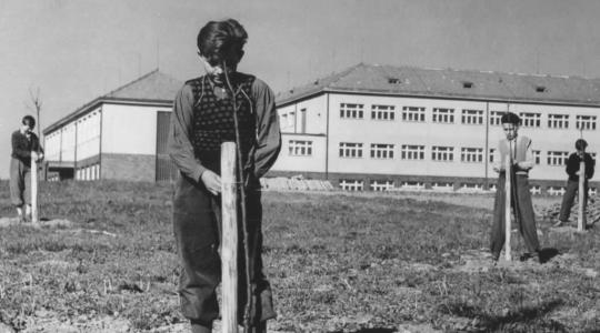 Ke škole i do parku nad Jizerou. Muzeum opakuje pátý díl virtuálních procházek městem. Foto: Muzeum města Mnichovo Hradiště