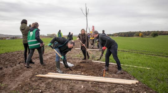 Skončila akce Sázíme stromky pro potomky. Ochránci přírody vysadili rekordní počet stromů. Foto: ČSOP Klenice